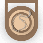 إكسسوارات مكملة للفستان